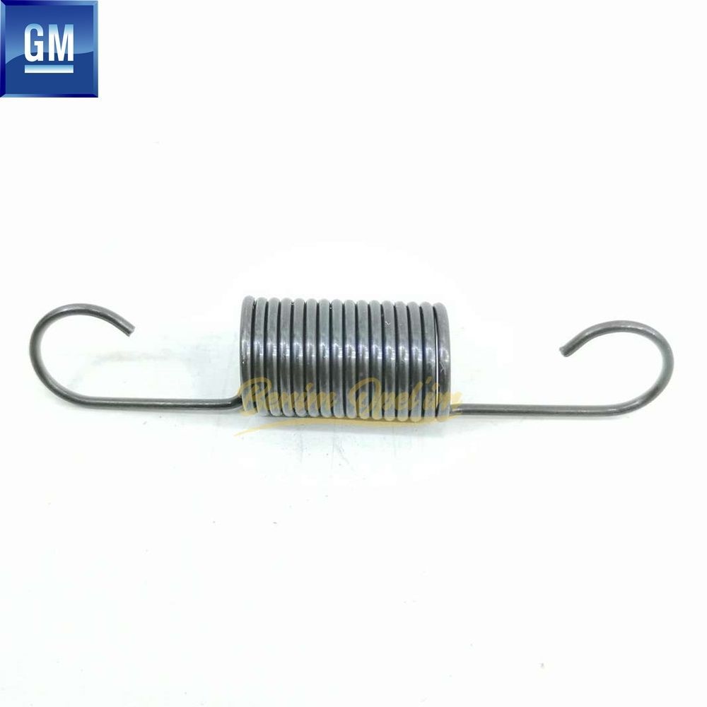 Timing Tensioner Spring 1.2 Chevrolet Aveo, Kalos, Spark GM Genuine 96325629