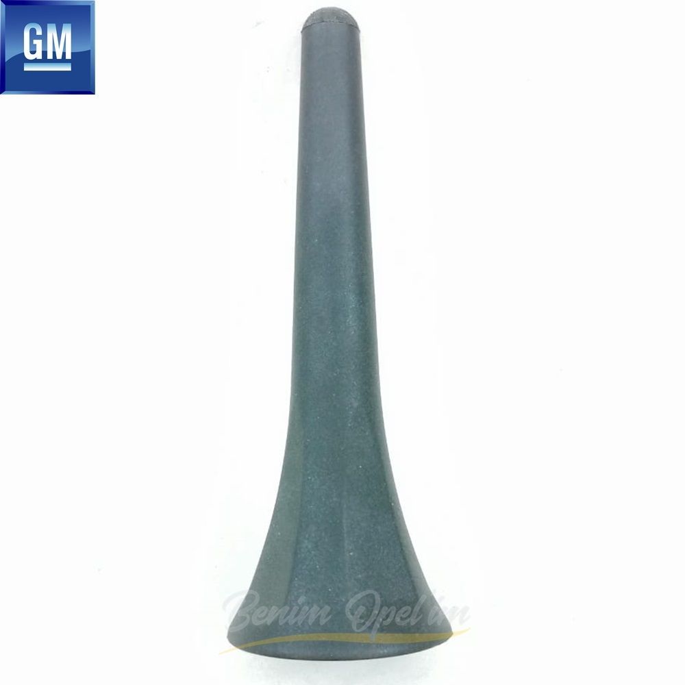 Product Code : 1788906A - Bottomless Roof Antenna Opel Corsa B, Tigra A, Omega B, Vectra B GM Original 1788906A - 1788098