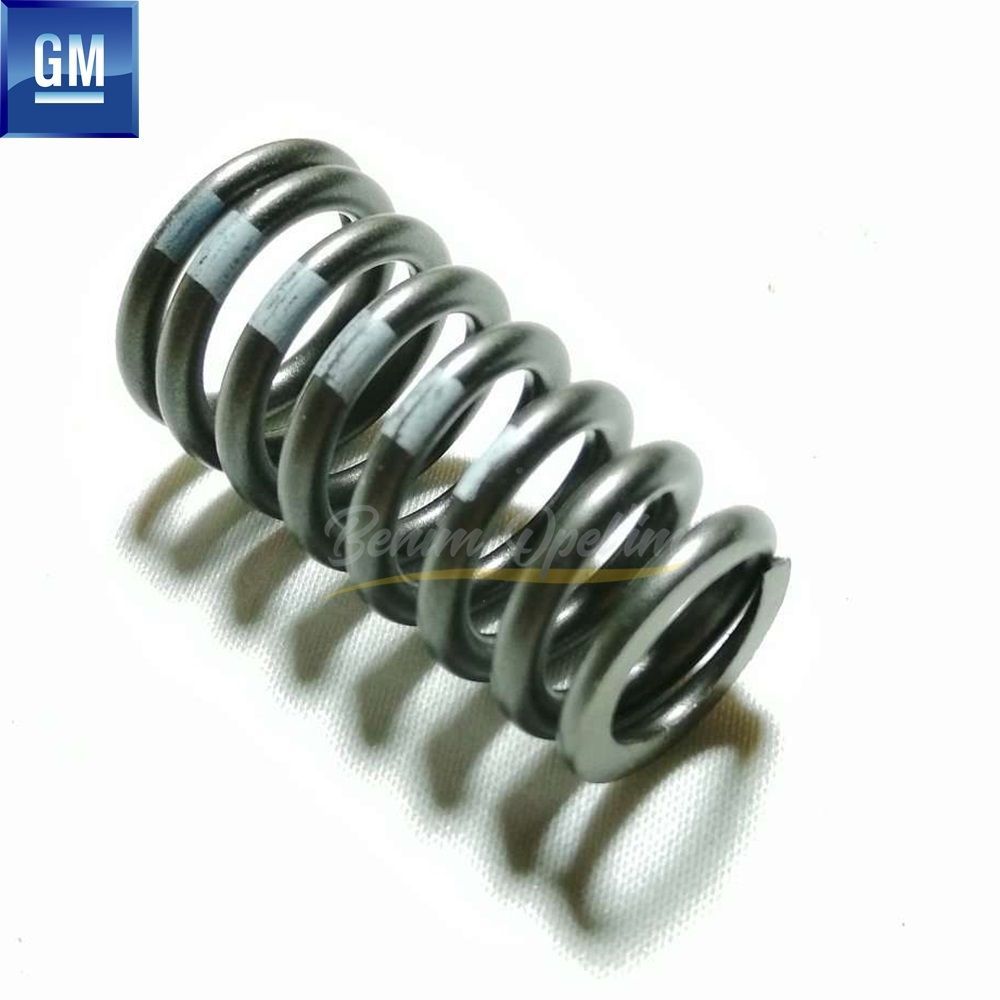 Opel Chevrolet Exhaust And Intake Valve Spring 1.6/1.8 GM Original 55567950 - 642703