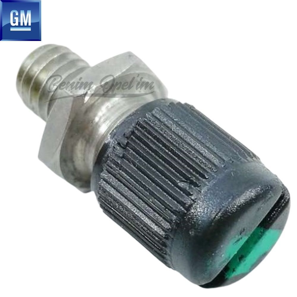 Product Code : 815678 - Opel Chevrolet Injector Pipe Valve GM Genuine 815678 - 90448751