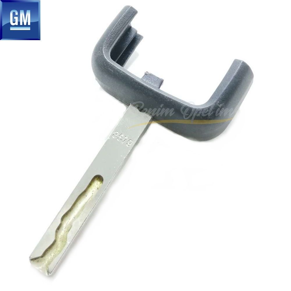 Opel Astra G, Zafira A Immobiliser Z Series Ignition Key Tip Smoked GM Genuine 139328 - 13181256