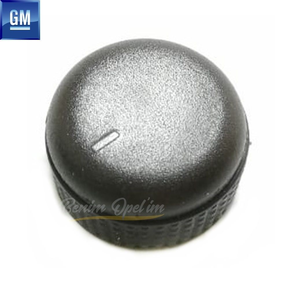 Product Code : 1240387 - Outside Rear View Mirror Adjustment Button Cover Brown Opel Insignia A, Zafira C, Astra J GM Genuine 1240387 - 20921400