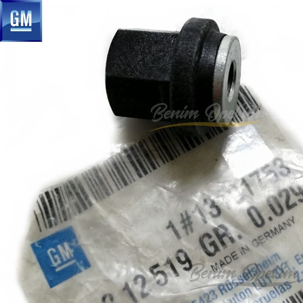 Product Code : 212519 - Crankcase Housing Plate Nut M10 Opel Vectra C, Signum, Corsa C GM Genuine 212519 - 13101753