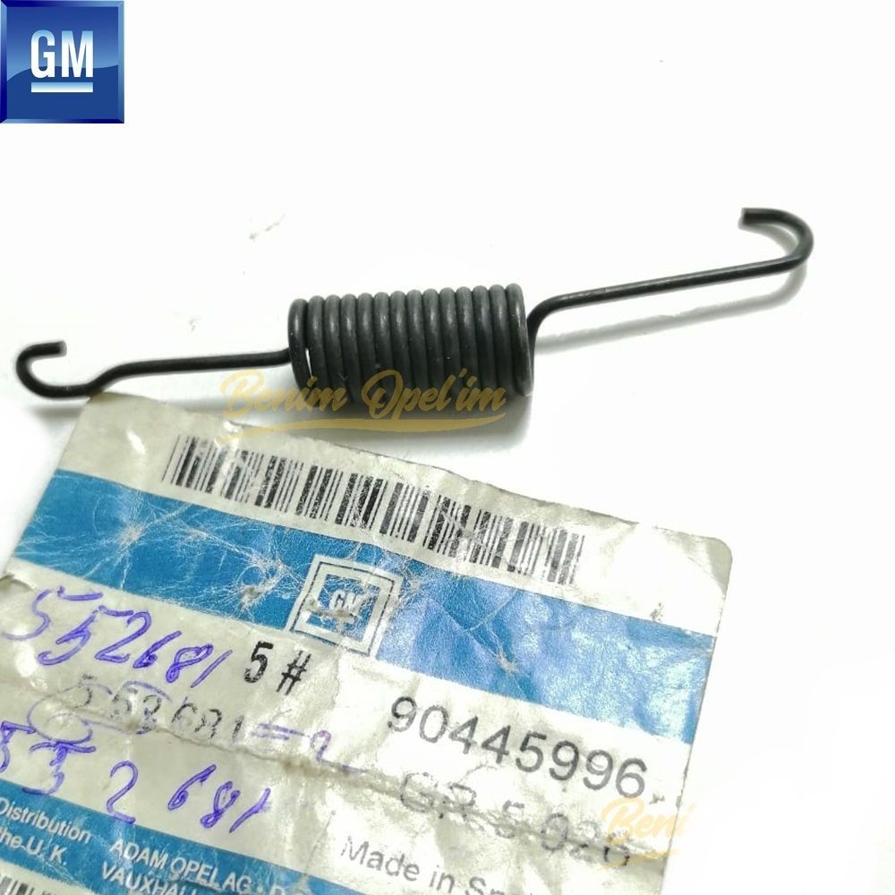 Rear Brake Spring Opel Corsa B, Corsa C, Tigra A, Tigra B GM Genuine 552681 - 90445996