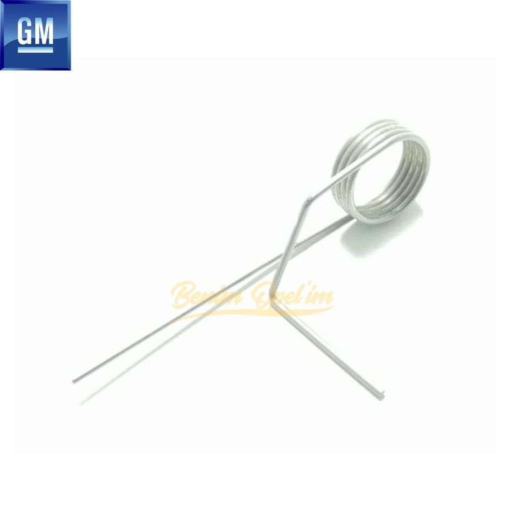 Product Code : 196809 - Opel Vectra B Cup Spring GM Genuine 196809 - 90568364