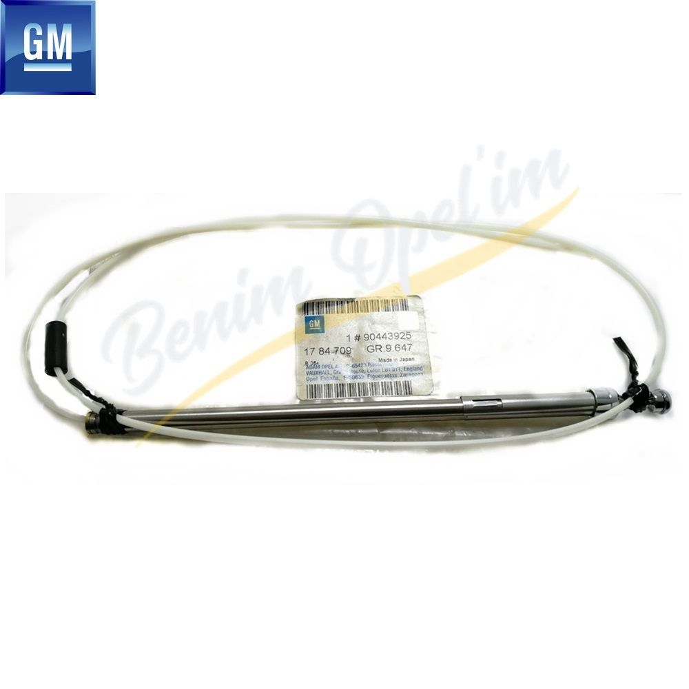 Product Code : 1784709 - Antenna Rod White Head Opel Vectra A, Astra F, Omega A GM Genuine 1784709 - 90443925