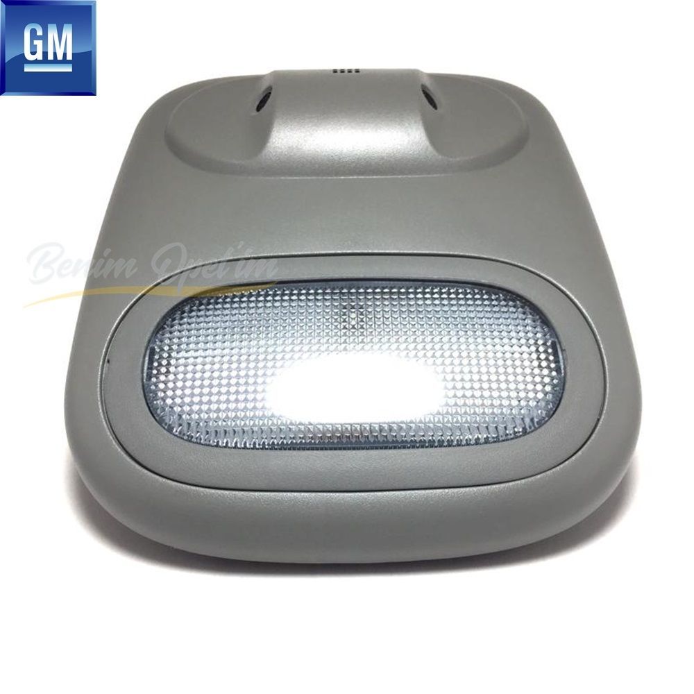 Opel Vivaro A, Renault Trafic Front Roof Lamp Grey GM Genuine 4410023 - 91167232