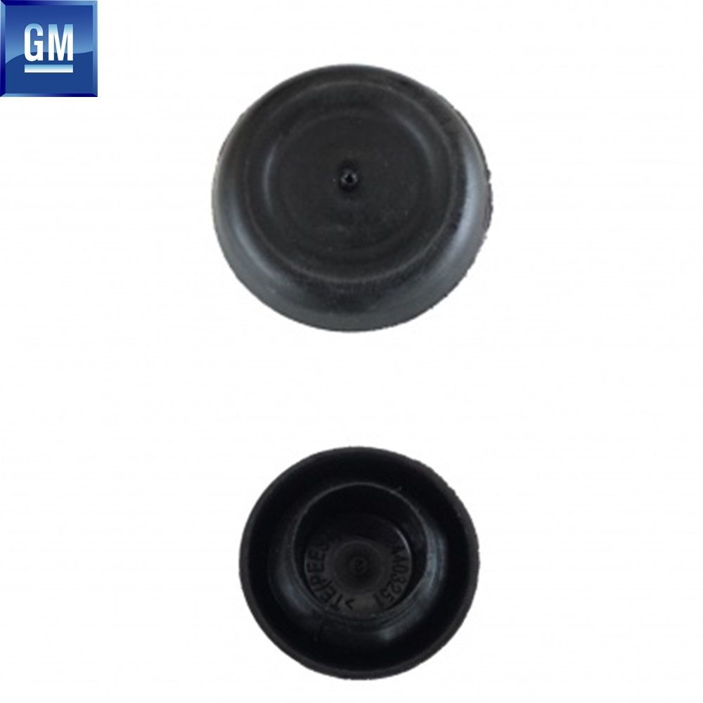 Product Code : 5178200 - Boot Floor Plug 24mm Opel Astra H, Corsa C, Corsa D, Corsa E, Meriva A, Vectra C GM Genuine 5178200 - 24403251