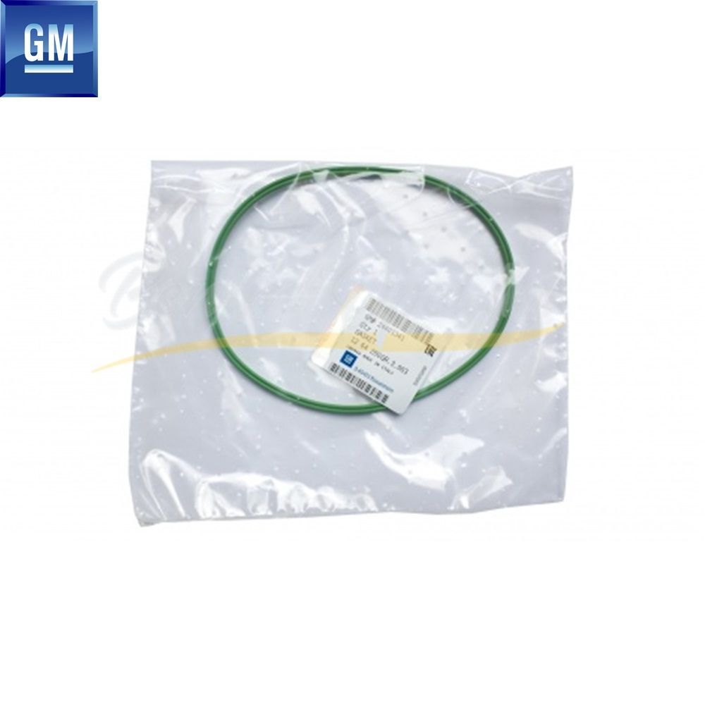 Product Code : 1254280 - Fuel Pump Float Seal Green Opel Astra H, Vectra C, Signum, Zafira B GM Genuine 1254280 - 24401341