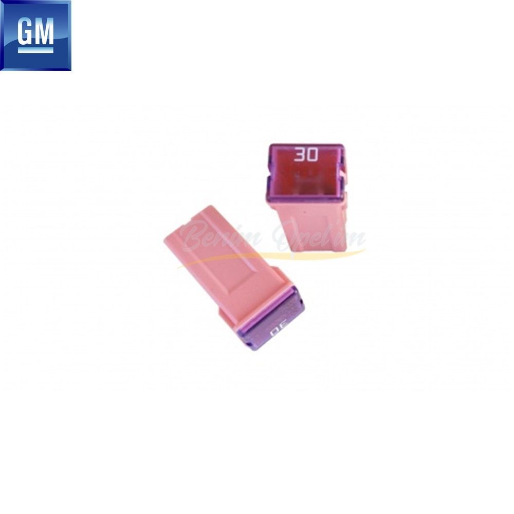 Product Code : 1238305 - Big Box Fuse 30 Amp. Pink Opel Astra K, Astra H, Zafira B GM Genuine 1238305 - 13133860