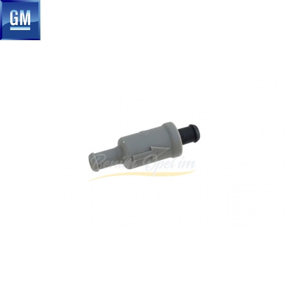 Opel Vectra B Water Sprinkler Check Valve GM Genuine 1450650 - 2875024