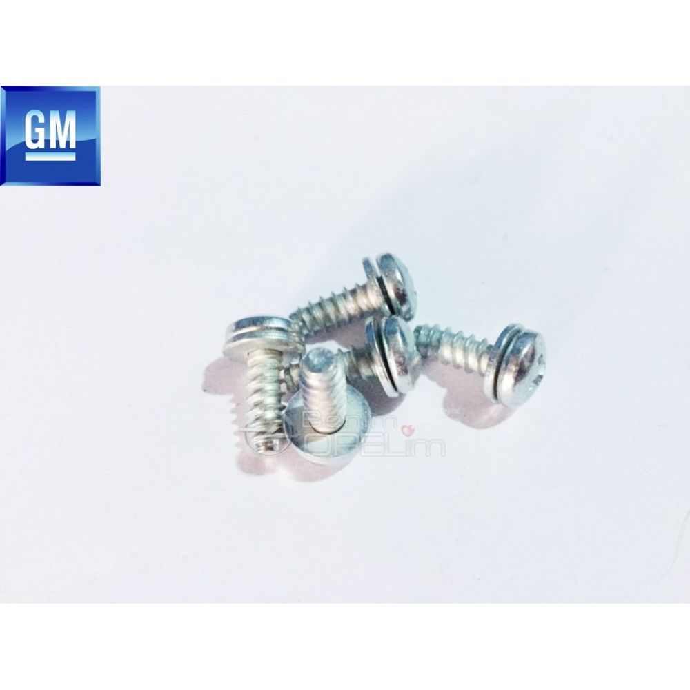 Product Code : 11069941 - 4.8X13 Bolt GM Genuine 11069941