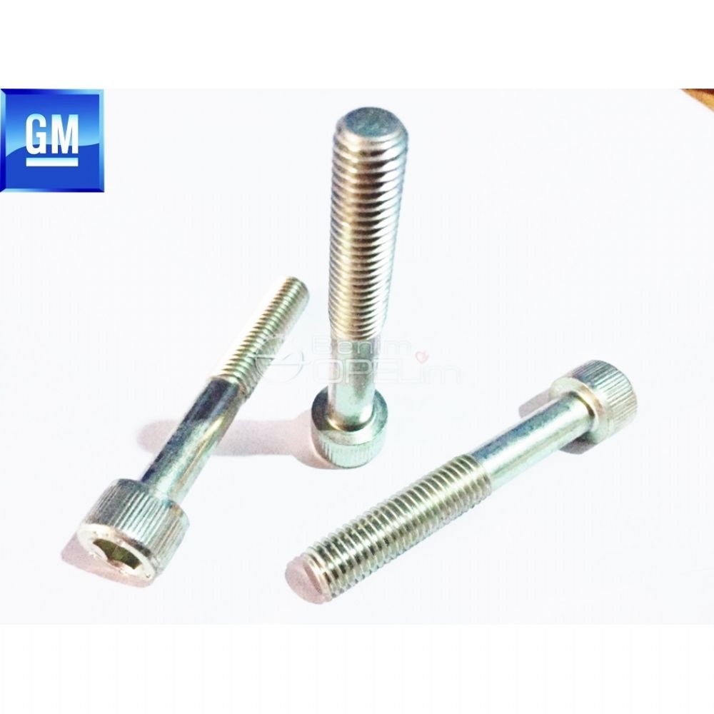 Mortise Allen M10X65 Bolt GM Original