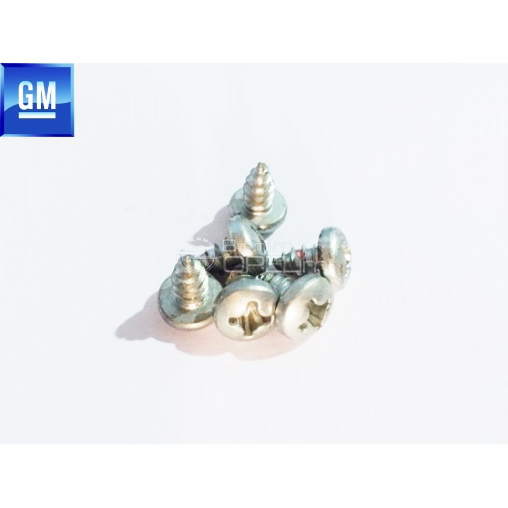 M5X10 Bolt GM Original