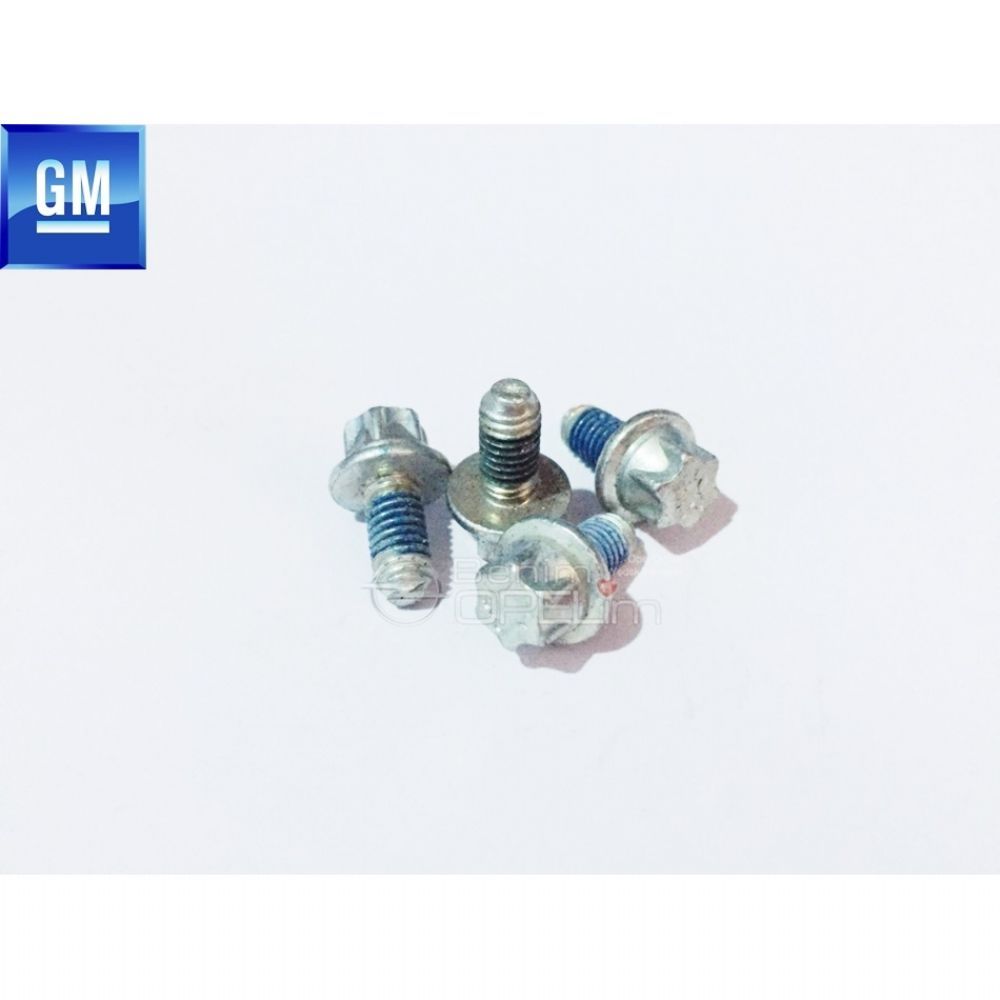 Hex Head M6X13 Bolt GM Original 1109679