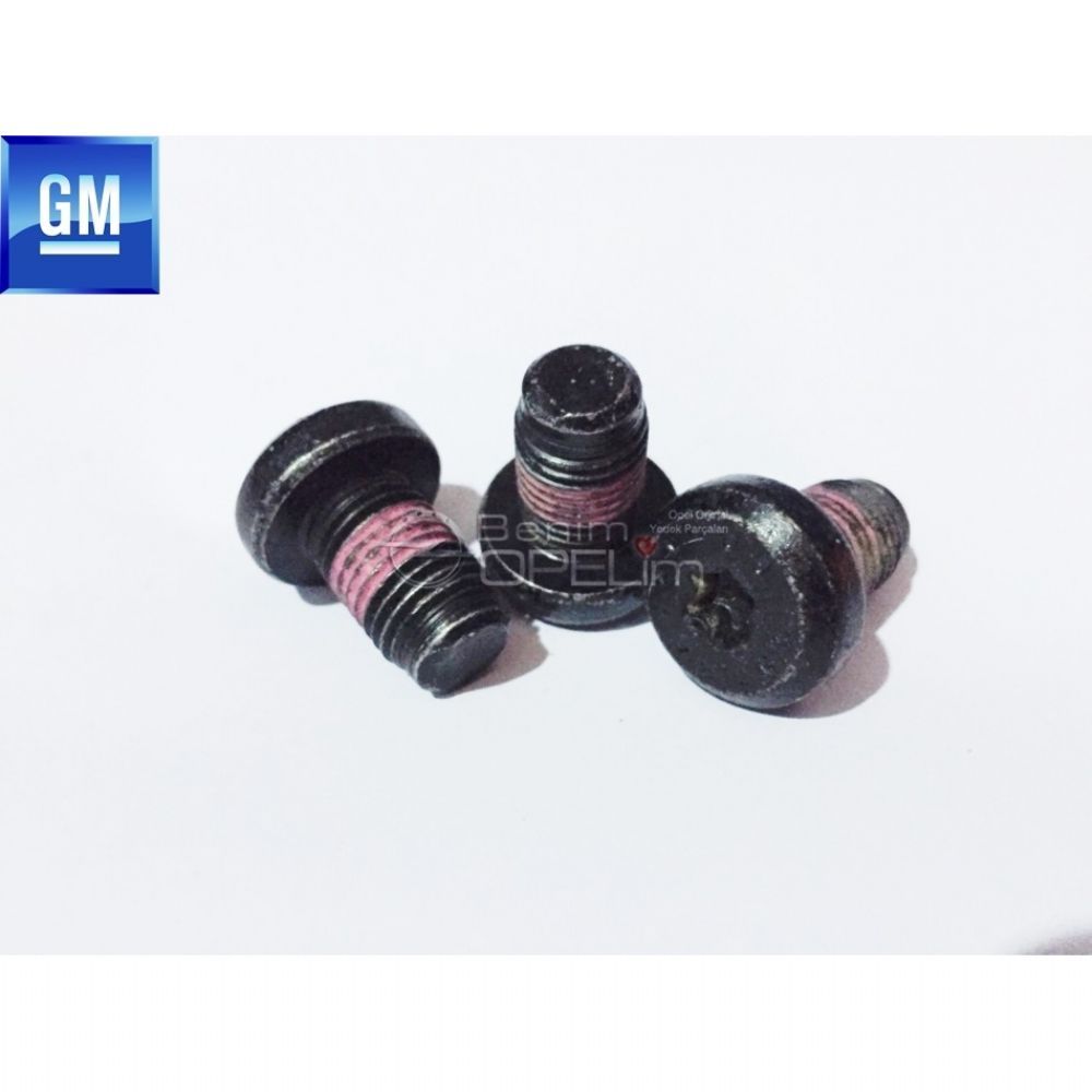 M11X17 Bolt GM Genuine