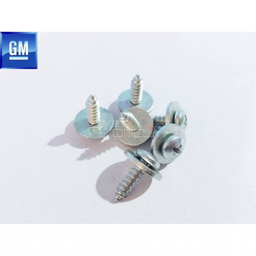 Washer M5X15 Bolt GM Original