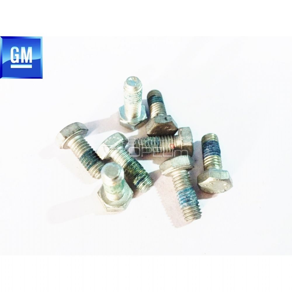 Hexagon M6X15 Bolt GM Original