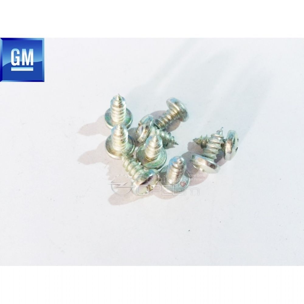 Hair Bolt Short 4X10 GM Original