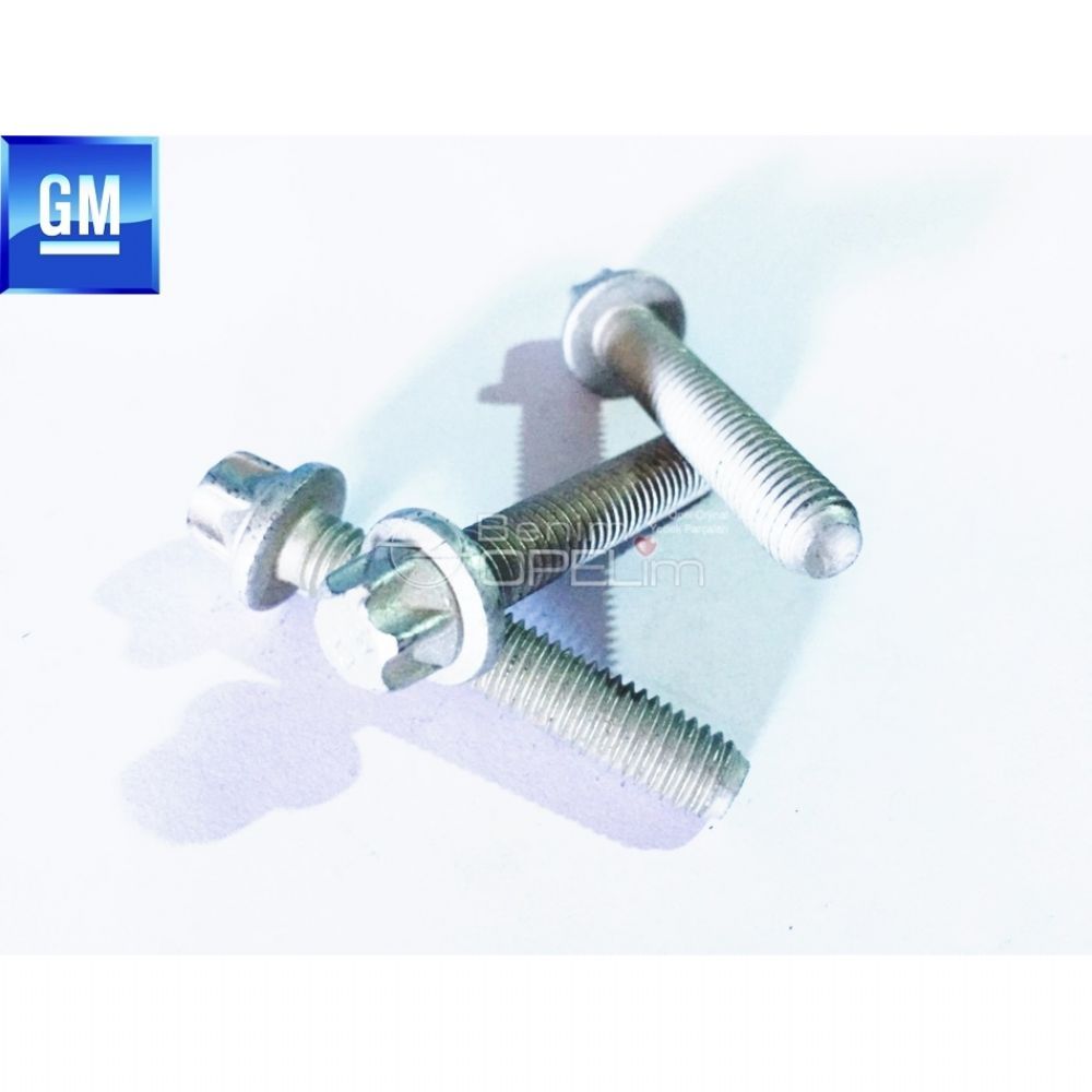 Product Code : 11096481 - Servo Bottom Bolt M8X45 GM Genuine 11096481