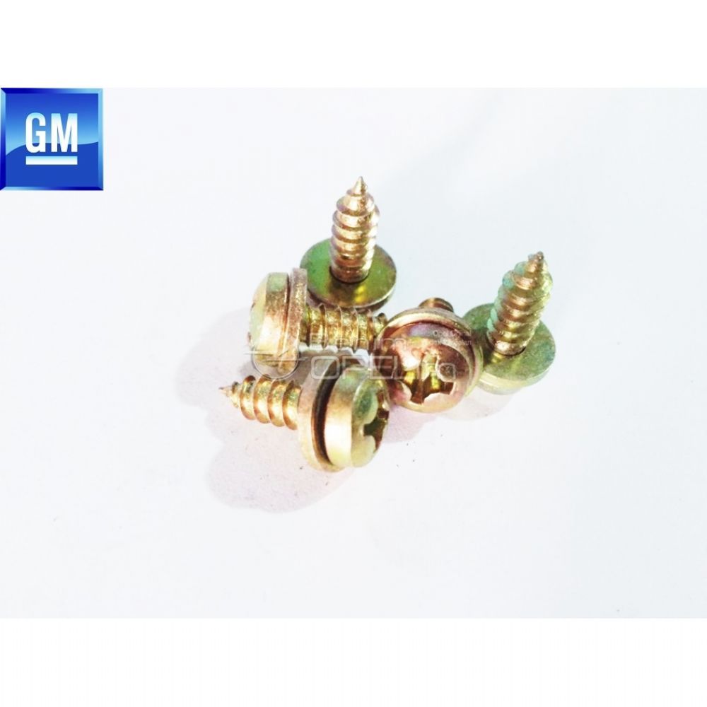 Licence Plate Fixing Bolt GM Genuine 11061095