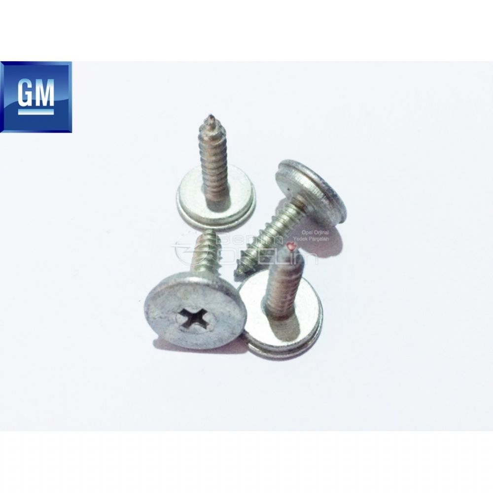 Hair Screw,4.8X17 GM Original 90568271