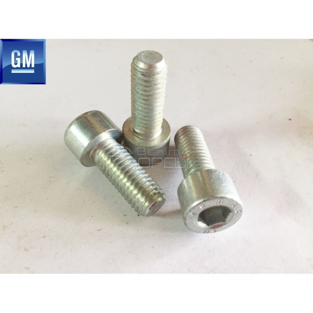 Allen Head M10X25 Bolt GM Original