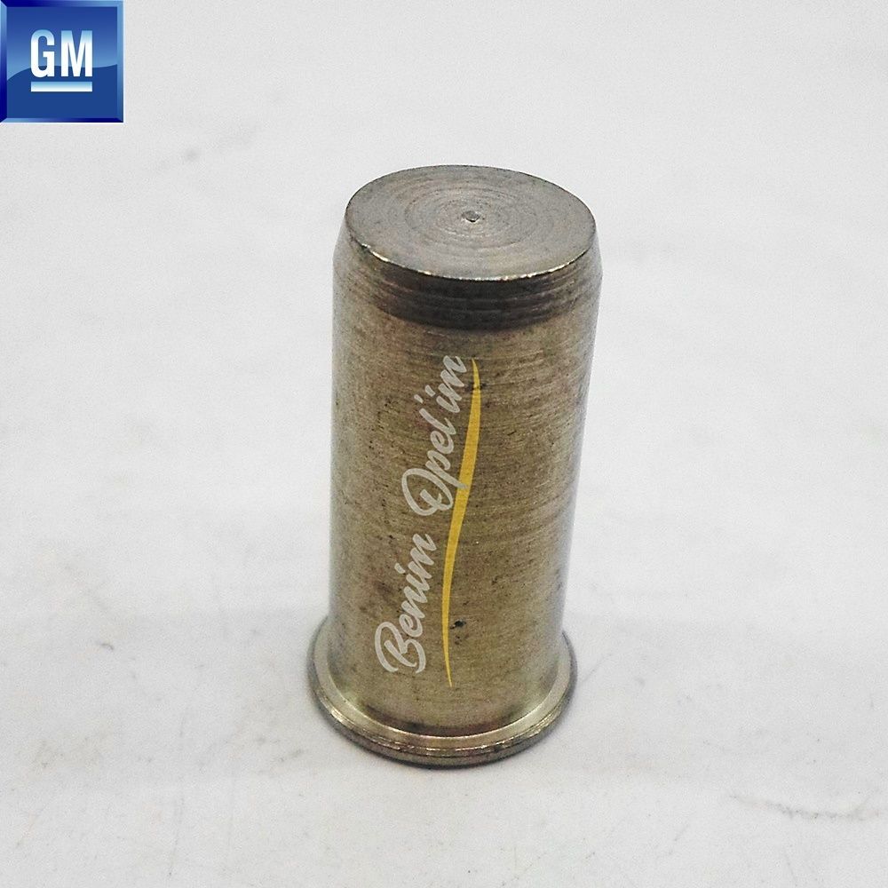 Product Code : 187912 - Rivet Nut Roof Luggage Boot Luggage Nut Vectra A, Vectra B GM Genuine 187912