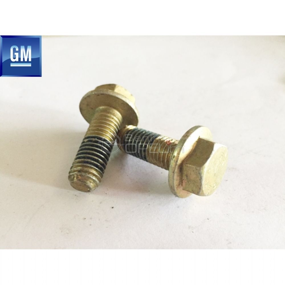 DIN 8.8 M10X30 Bolt GM Original