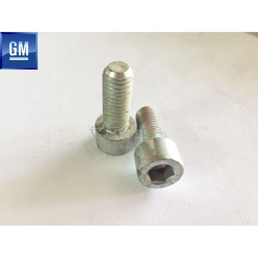 Gomme Allen Head M10X25 Bolt GM Original