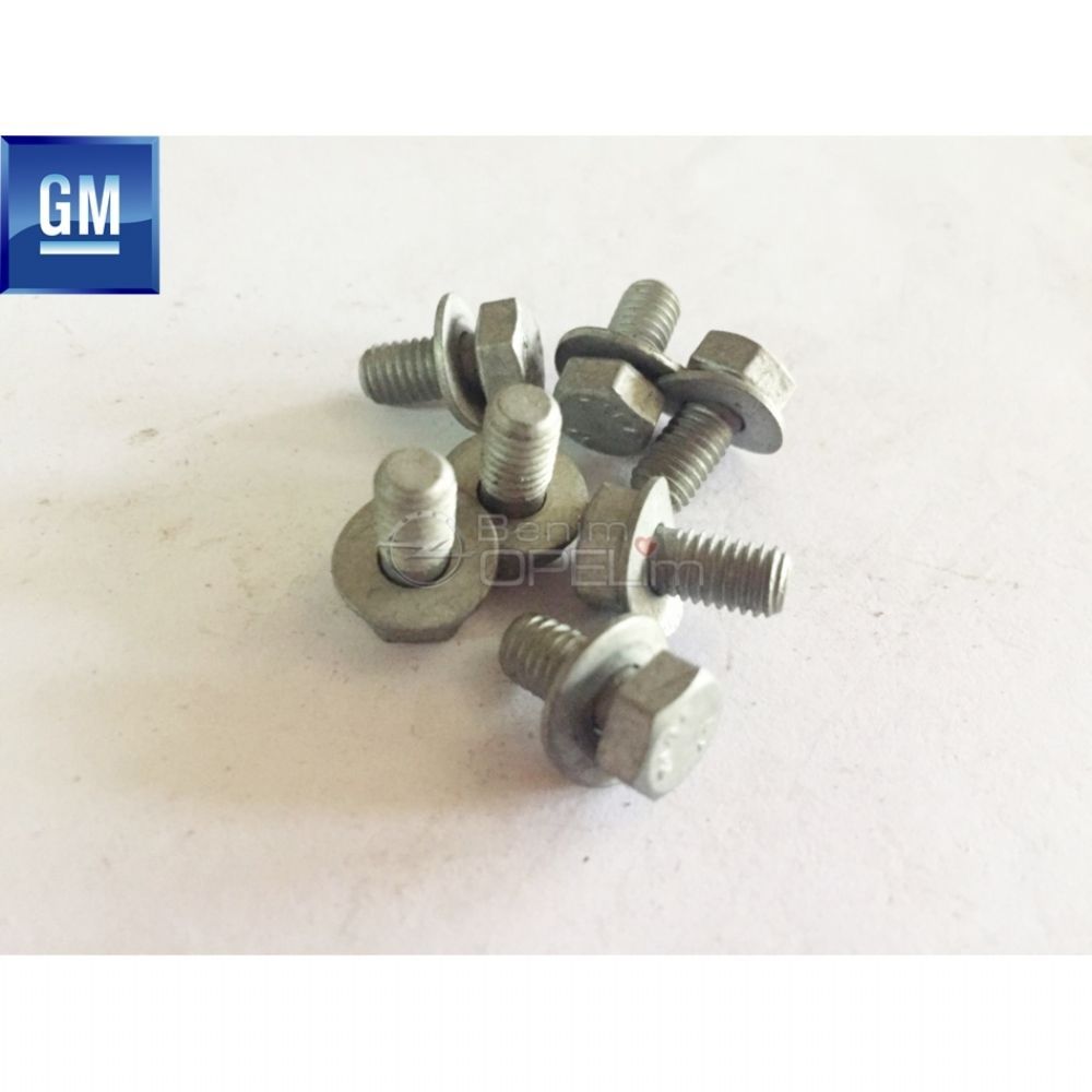 DIN 4.8 M5X10 Bolt GM Original