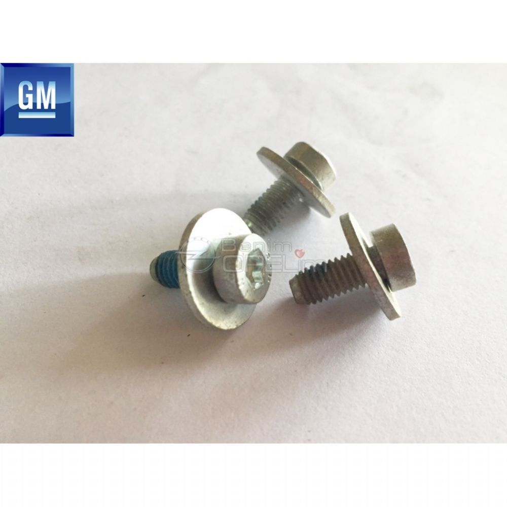 DIN8,8 Washer M6X15 Bolt GM Original