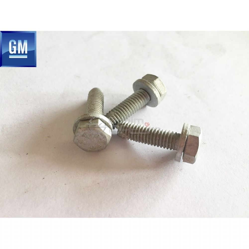 DIN8.8 M6X20 Bolt GM Original