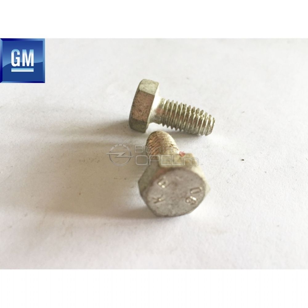 DIN9.0 M8X17 Bolt GM Original