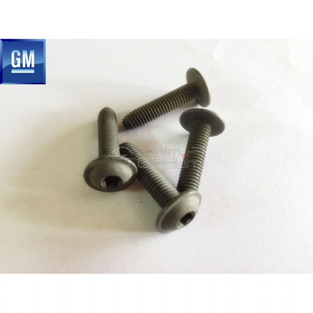 Belt, Boot Oval Head M5X23 Bolt, GM Genuine 2223803