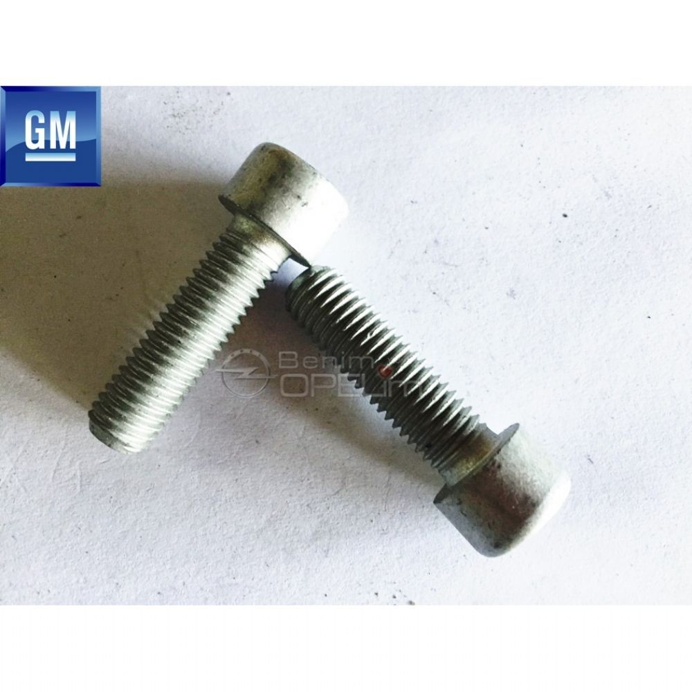 DIN8.8 Allen Head M10X35 Bolt GM Original