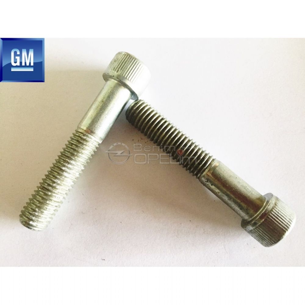 Allen Head Half Rust M12X65 Bolt GM Original