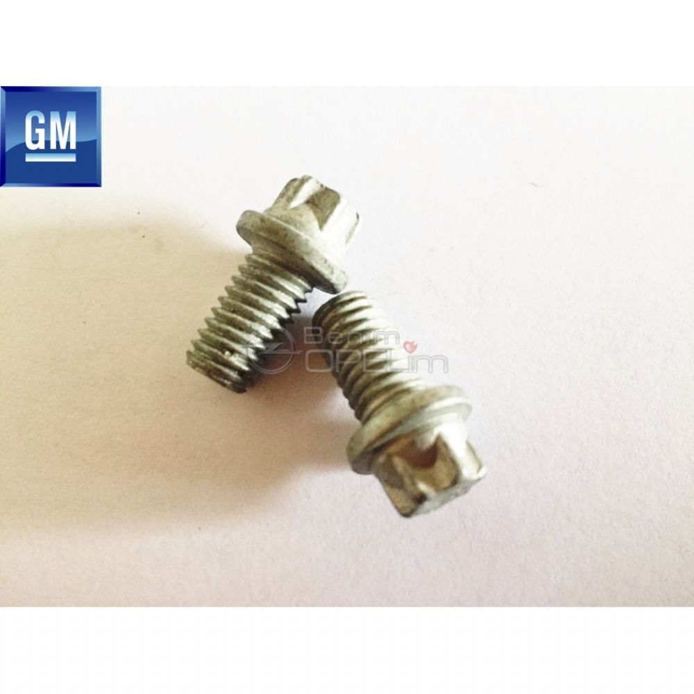 Hexagon M8X14 Bolt GM Original 2005202