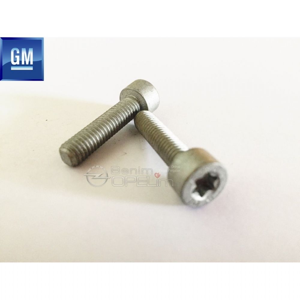 Product Code : 2046164 - Timing Cover Bolt6X25 GM Original 2046164 - 11095011