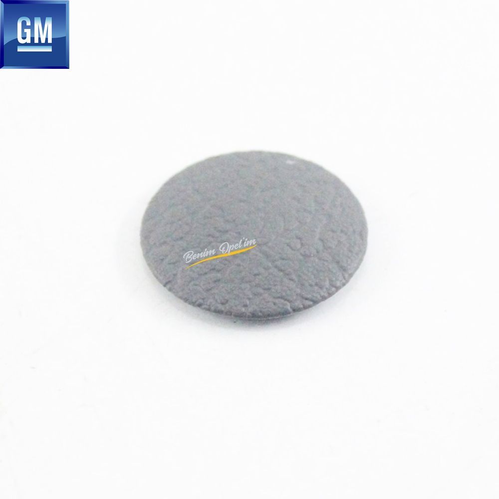 Opel Vectra B Bolt Concealment Cover Grey GM Genuine 90436720 - 196804