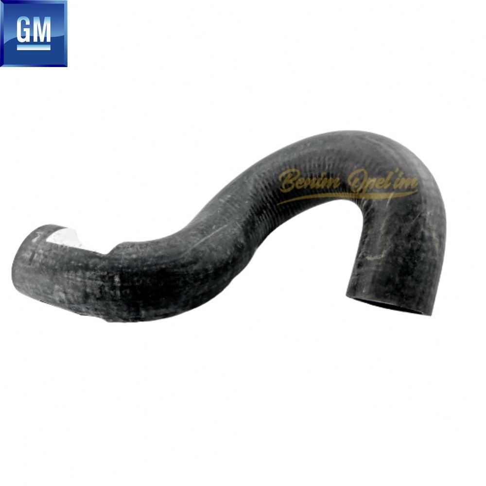 Chevrolet Aveo, Kalos Radiator Upper Hose GM Original 96536592 - 93811565