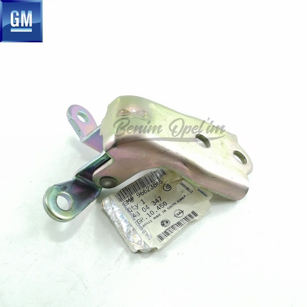 Opel Antara, Chevrolet Captiva Front Door Hinge (Jg) GM Genuine 4804347 - 96623865