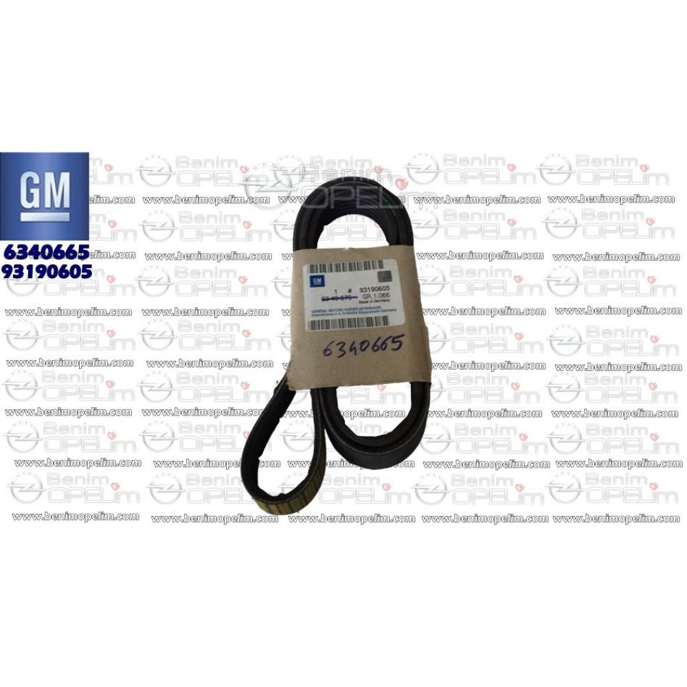 Opel Signum, Vectra C V Belt Z19DT, Z19DTH GM Genuine 6340665 - 93181196