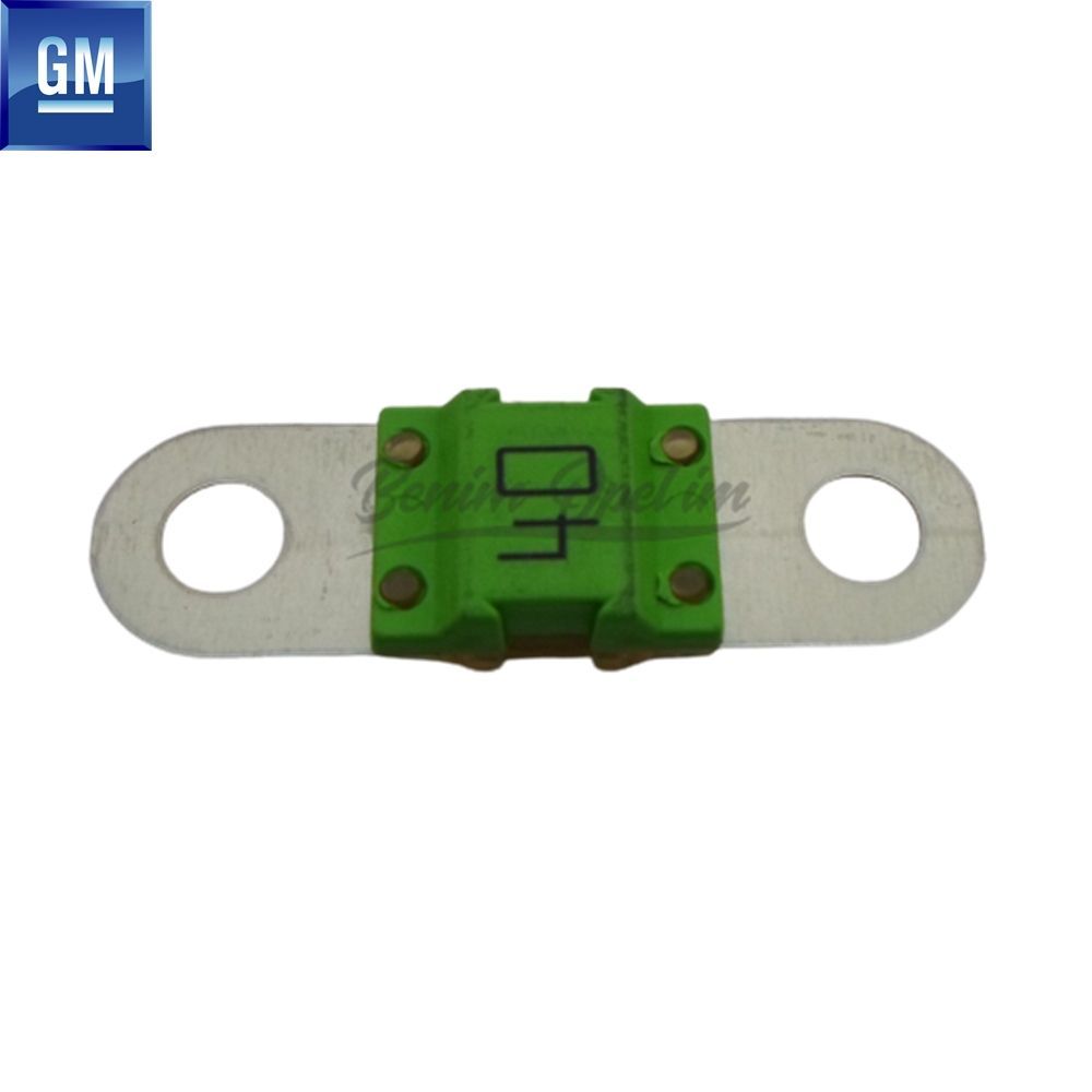 Product Code : 6235736 - Opel Astra H, Zafira B Fuse Green 40 Amp. GM Genuine 6235736 - 13133865