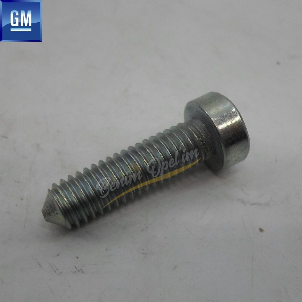 Product Code : 2048019 - Opel Vectra B Screw Star Head M6X21 Clutch Delete GM Genuine 2048019