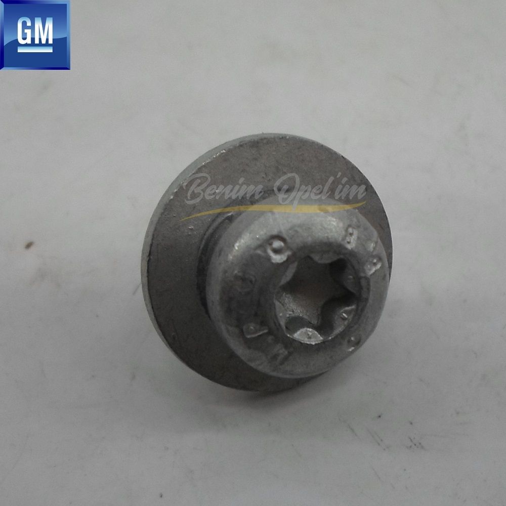 Product Code : 2034168 - Multipurpose Oval, Flat Head Bolt M6X12 GM Genuine 2034168 - 11096321