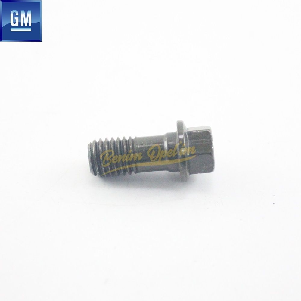 Brake Caliper Eye Bolt M10 1.8/2.0/2.2 GM Genuine 543106 - 13112908