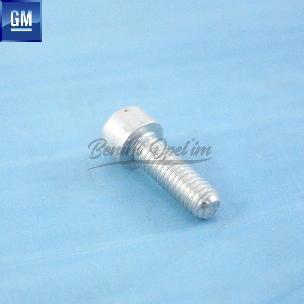 Product Code : 1334941 - Recirculation Bolt M6X18 Opel Astra G, Zafira A, Astra H, Corsa C, Meriva A, Vectra C, Zafira B GM Genuine 1334941 - 24469892