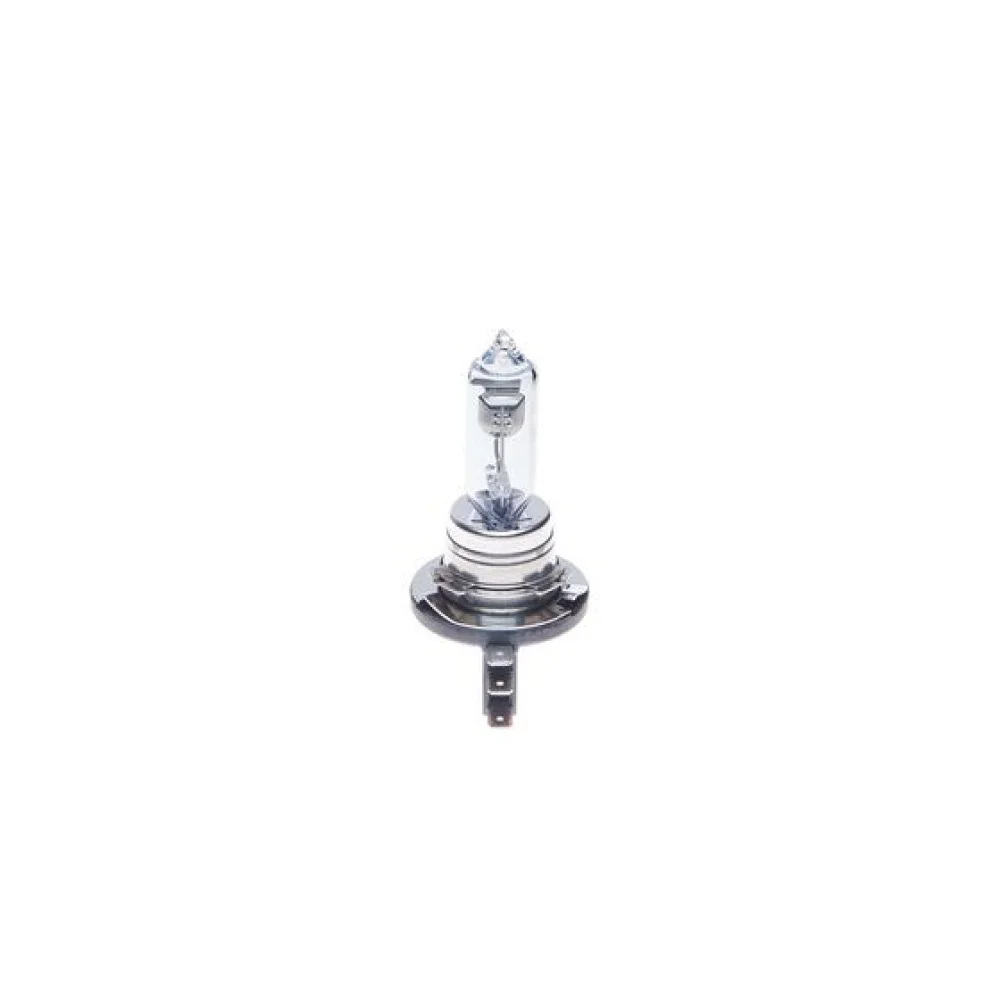 Bosch H15 Pure Light Ampul 12 V 15 55 W 64176
