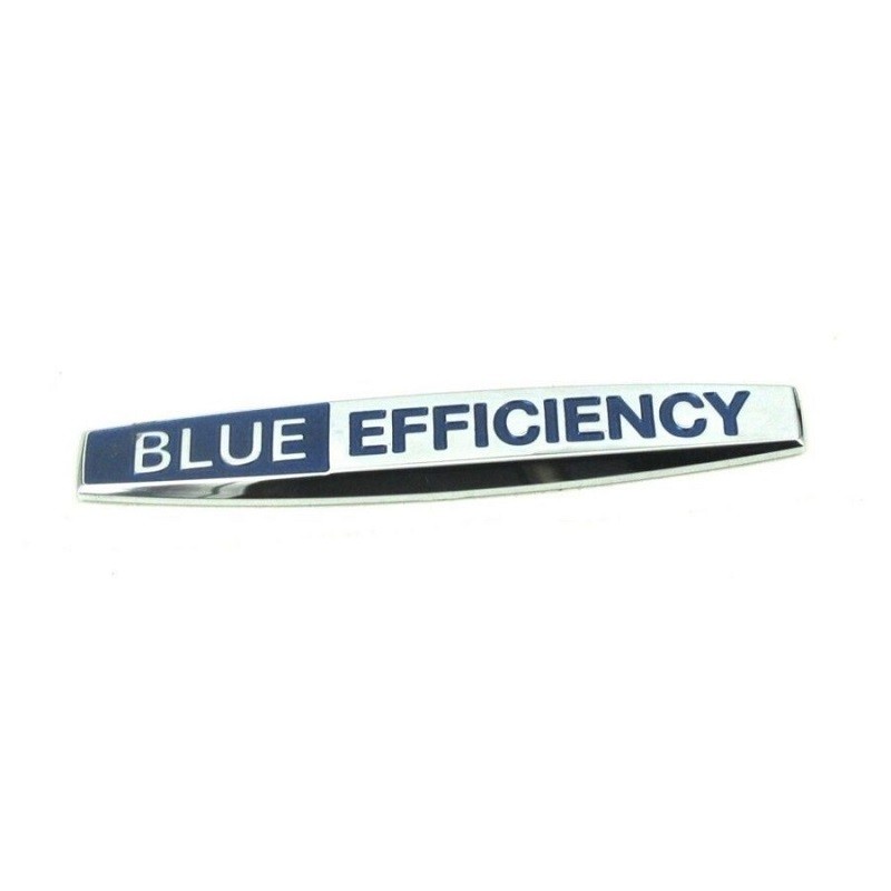 BLUE EFFICIENCY YAZISI